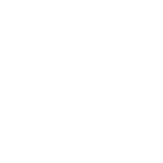 asus asus