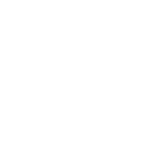 motorola motorola