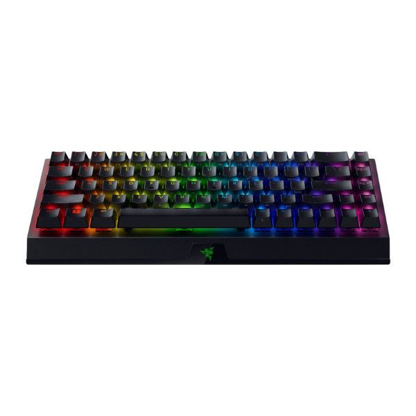 RZ03-03890900-R311-5 Teclado Razer BlackWidowV3 Mini
