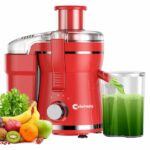 Extractor Celahapy 2 Velocidades 500W
