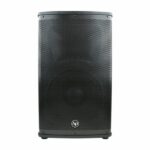 Parlante Audio Pipe DJAK-P12 12”